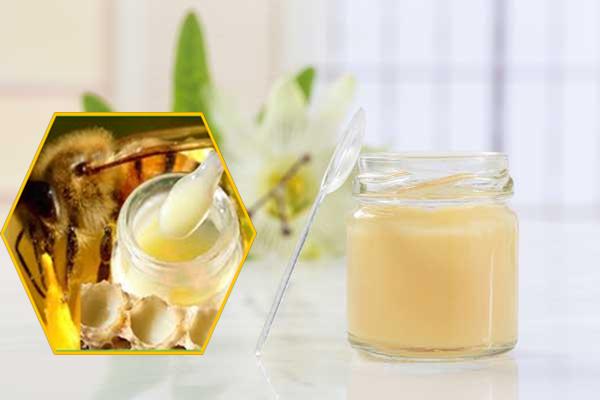 Công dụng của sữa ong chúa đối với sức khỏe niêm mạc phụ nữ - GOTOWOMEN TW3