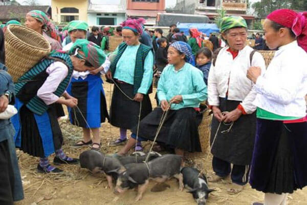 đặc sản thịt lợn cắp nách lào cai