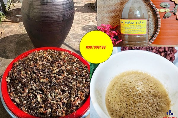 quy trình làm mắm cáy