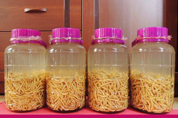 rượu sâu chít điện biến