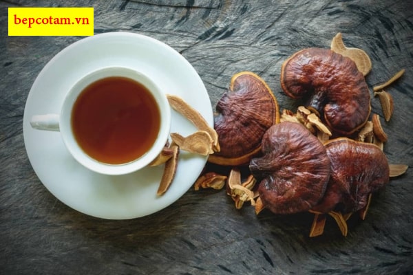 cách sử dụng nấm linh chi đỏ