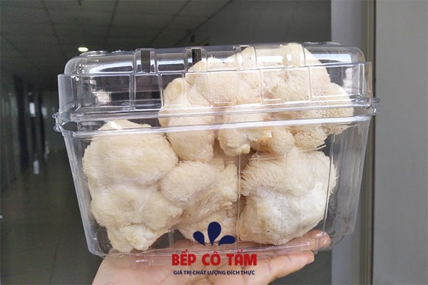 mua nấm hầu thủ tươi ở hà nội