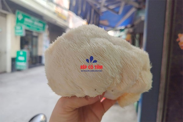 nấm hầu tươi tại hà nội