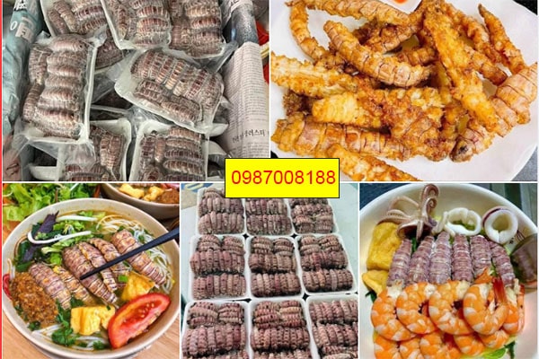 nõn bề bề tại hà nội