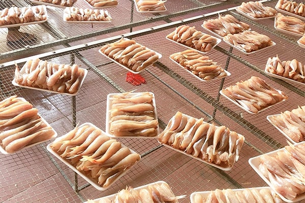 phơi cá đùi gà 1 nắng